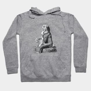 Monkey Vintage Hoodie